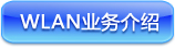 WLAN业务介绍