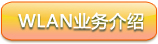WLAN业务介绍